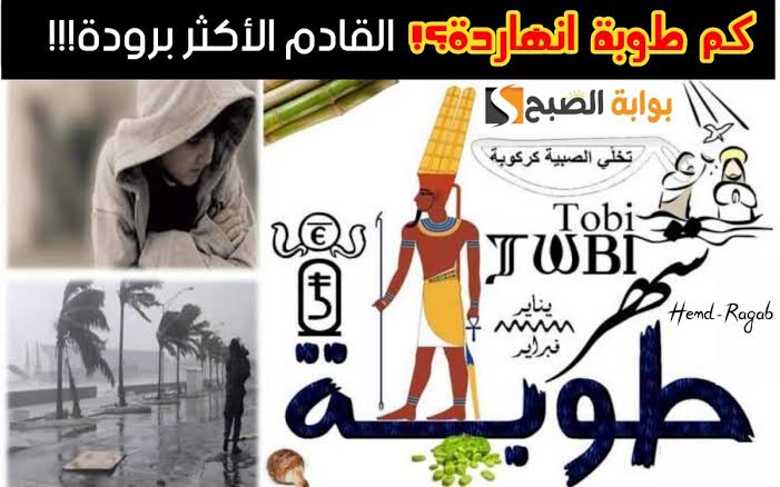 النهاردة كام طوبة ؟ ورقة نتيجة اليوم الأربعاء
