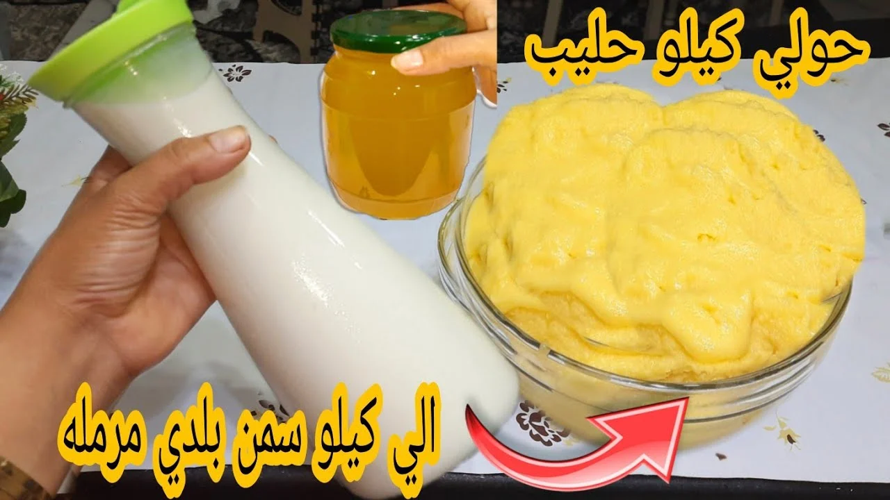 بببببببببببببببببب