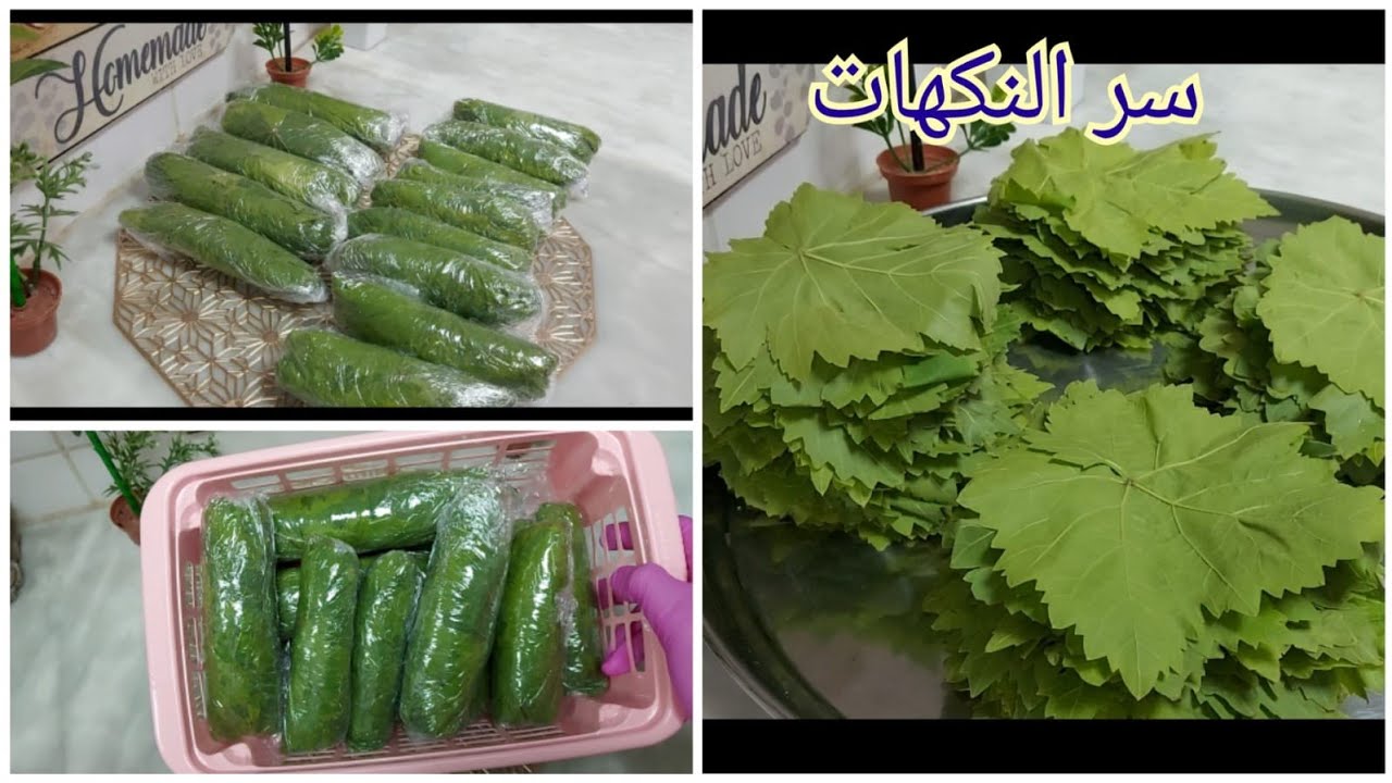 تخزين ورق العنب