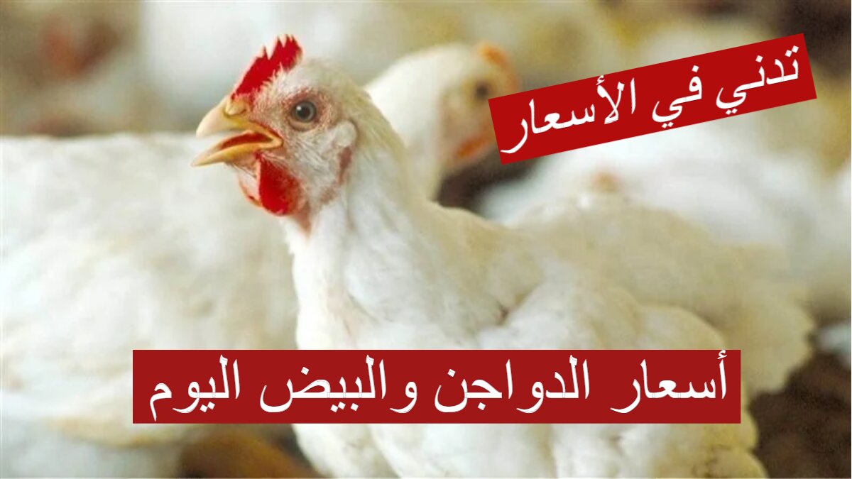 تدني في الأسعار