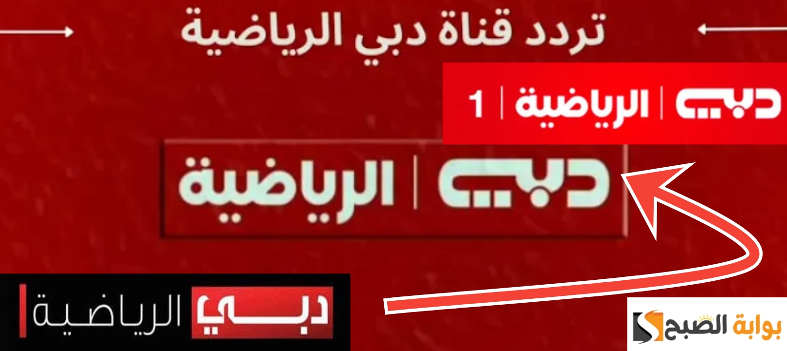 تردد قناة دبي الرياضية