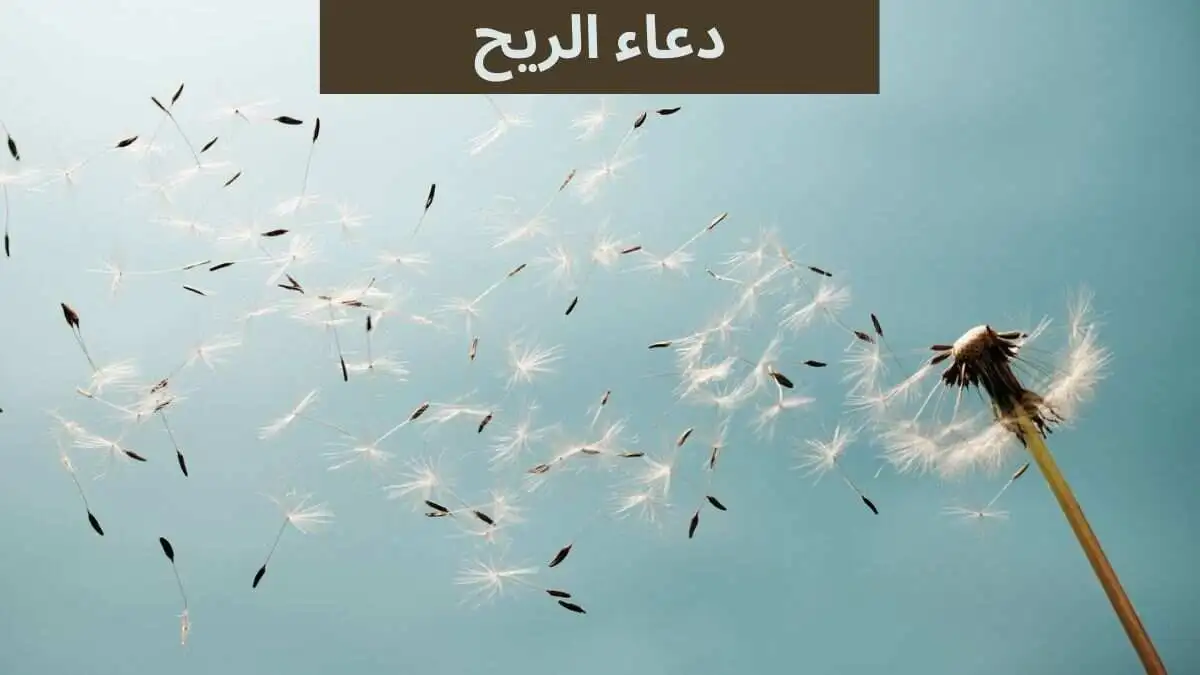 دعاء شدة الرياح