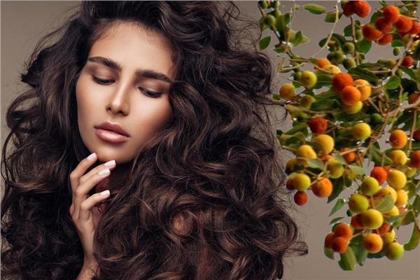 رغوة السدر للشعر