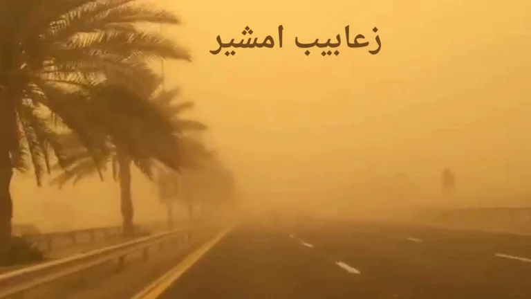 زعابيب امشير