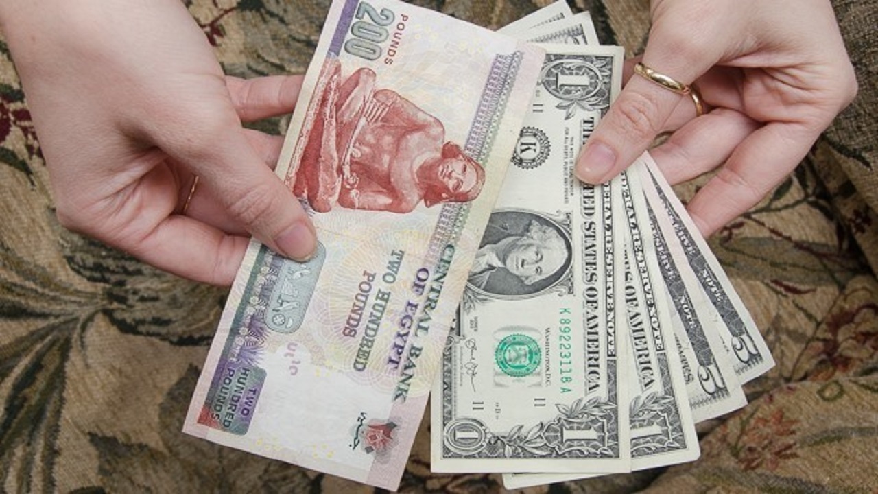 سعر الدولار اليوم