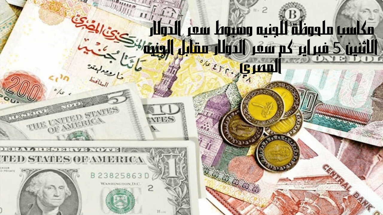 سعر الدولار مقابل الجنيه المصري