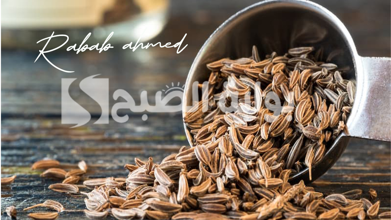 سعر كيلو الكمون اليوم في مصر