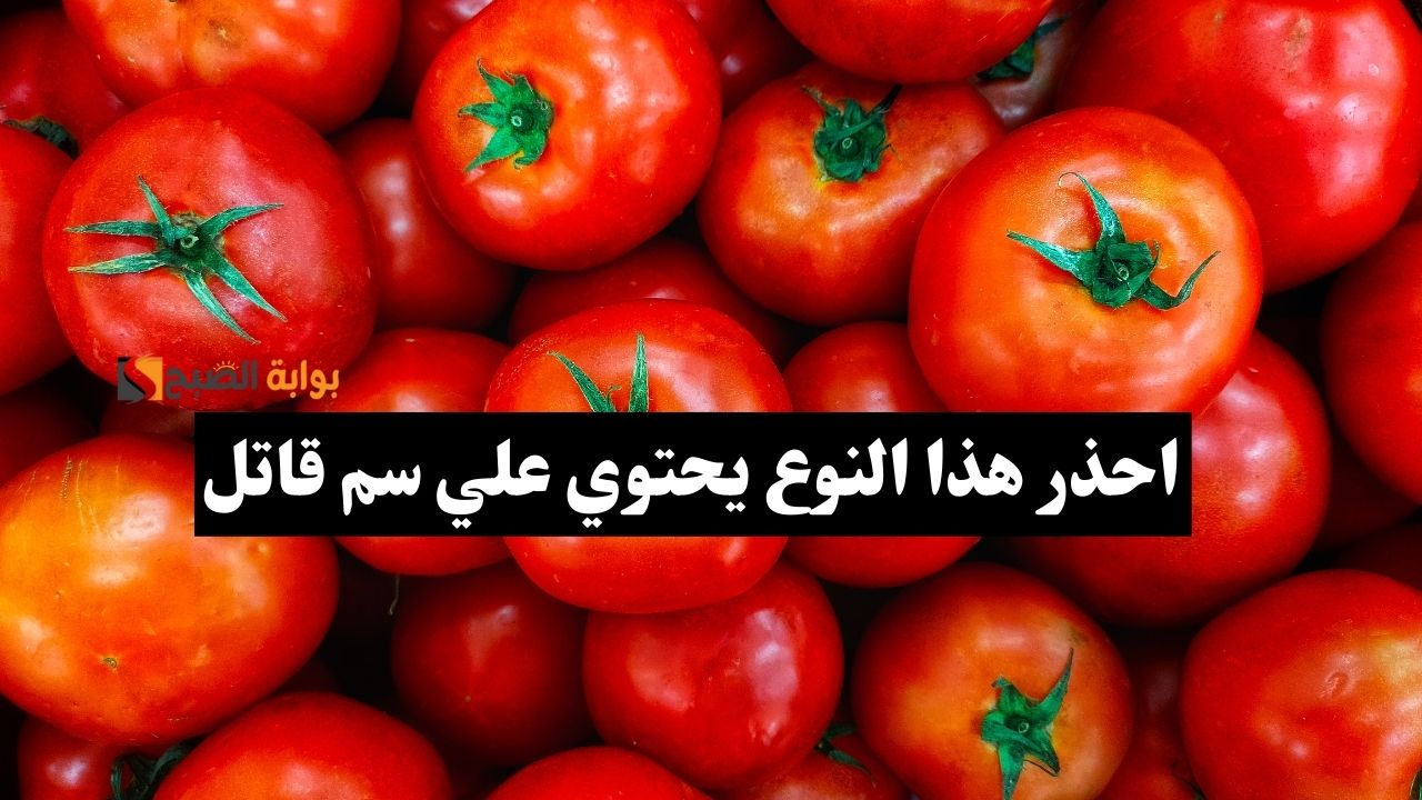 (صفر 25) طماطم