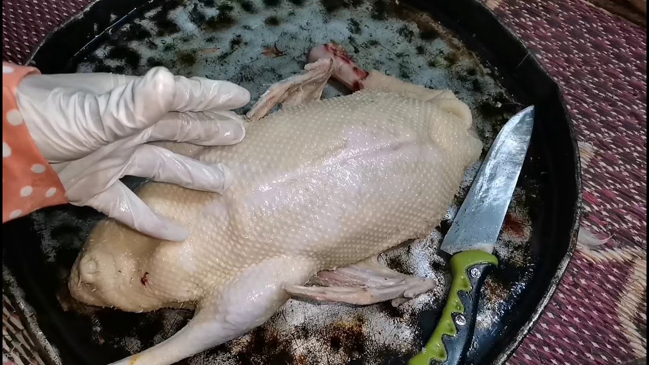 طريقة تنظيف البط والوز