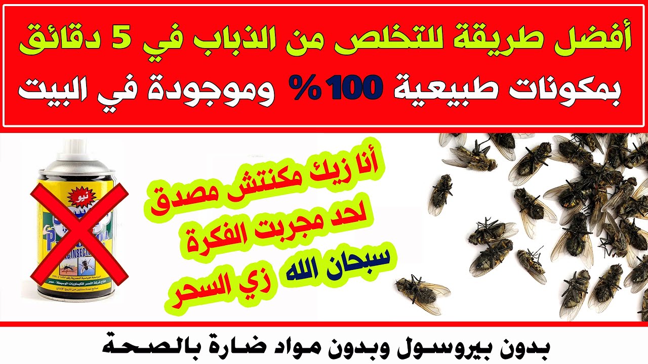 طريقة طرد الهاموش من المنزل