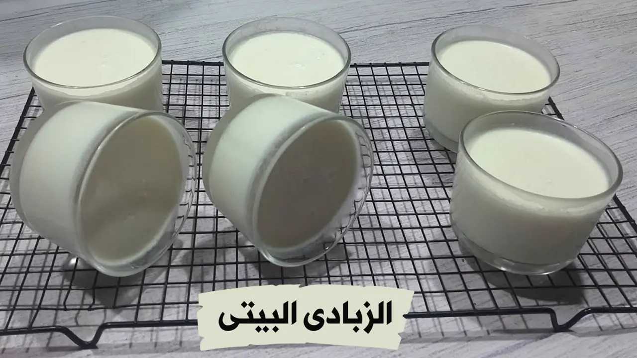 طريقة عمل الزبادي في البيت