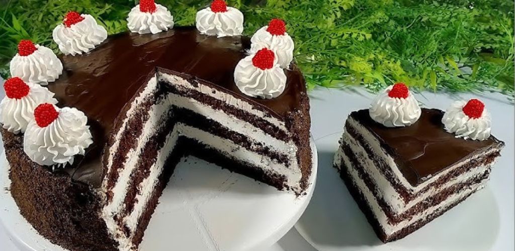 طريقة عمل جاتوه شاتوه