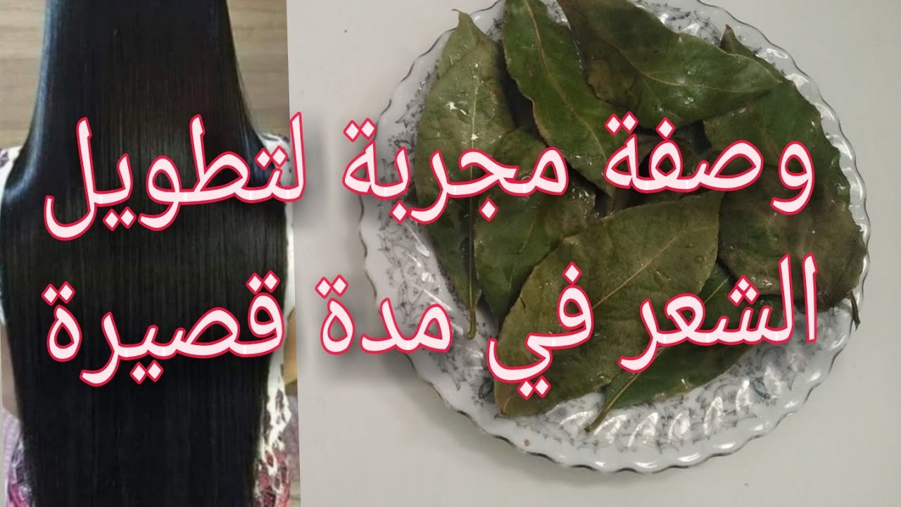 طريقة عمل مغلي ورق الغار للشعر