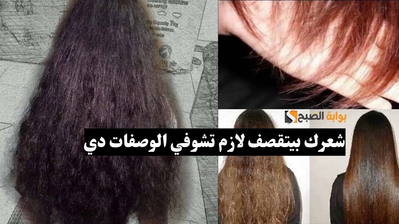 علاج الشعر المقصف