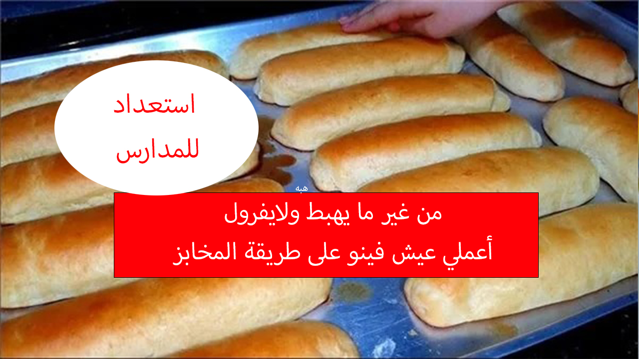 عيش فينو للمدارس من غير ما يفرول