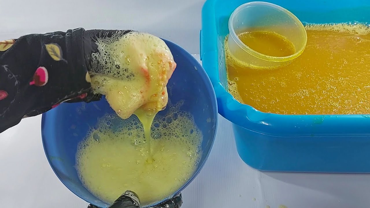 قشر 1