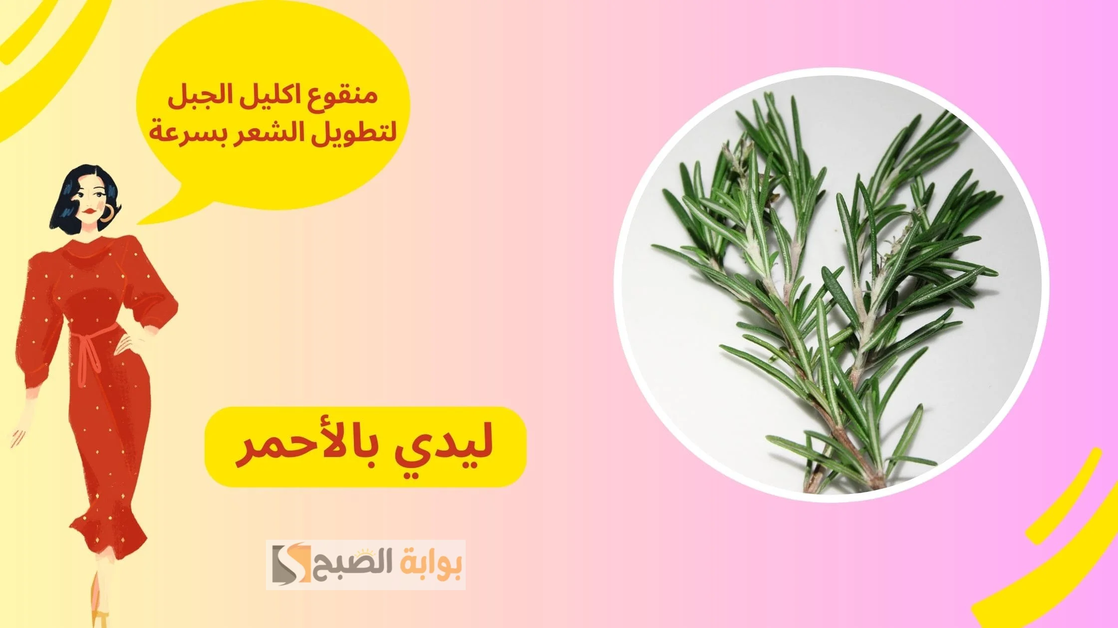 قناع إكليل الجبل لنمو الشعر وزيادة طوله