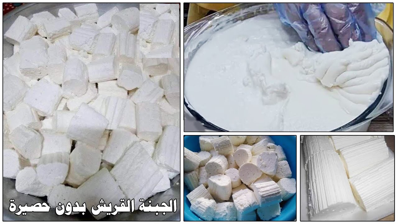 لازم تجربيها بالطريقه دى... طريقة عمل الجبنة القريش فى البيت احلى من الجاهز هتعجب عائللتك جدا
