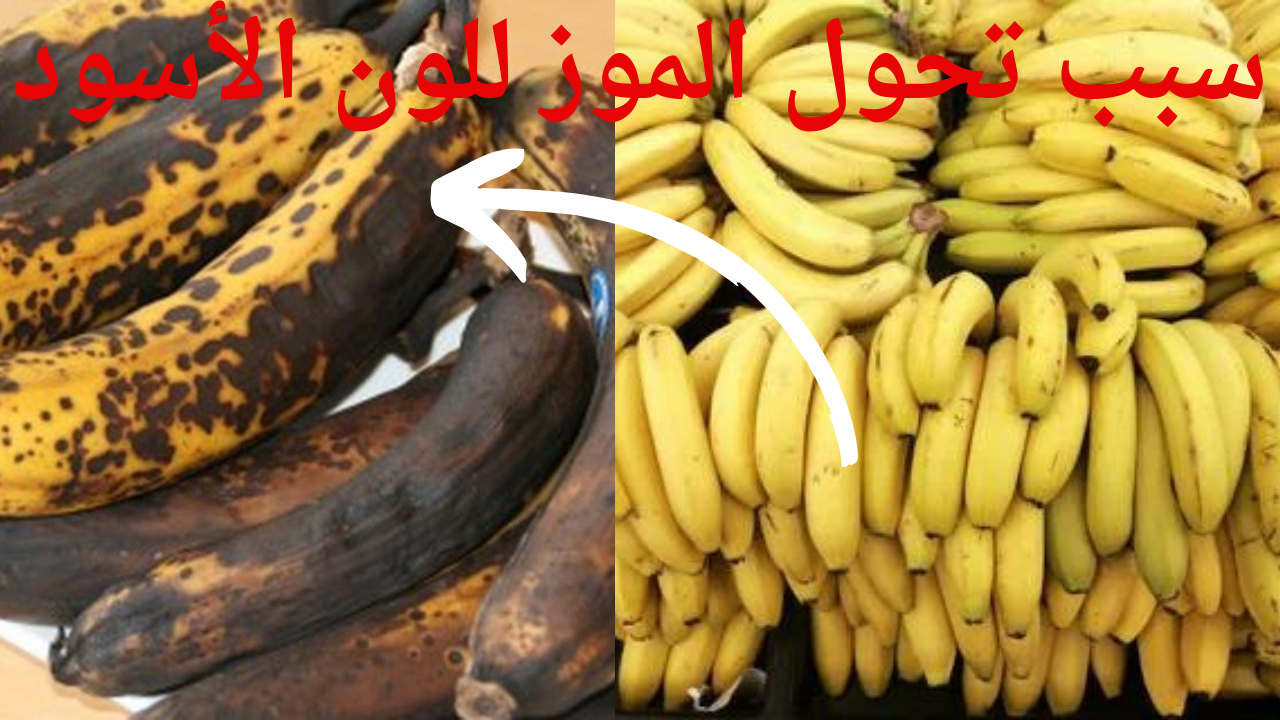 الموز