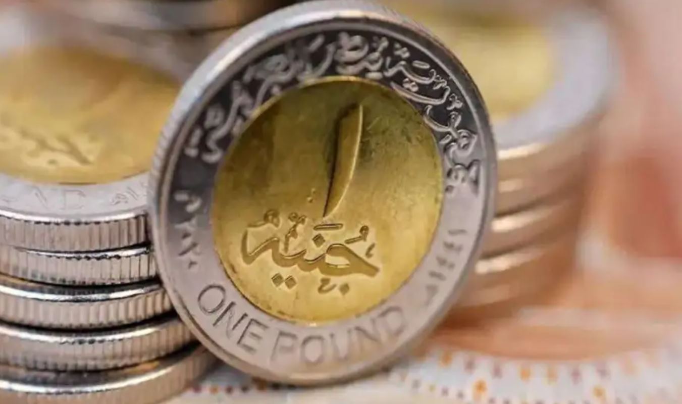 ما معنى الجنيه الإلكتروني بديل الورقي؟