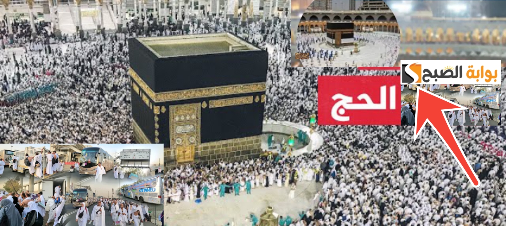 نتائج الحج