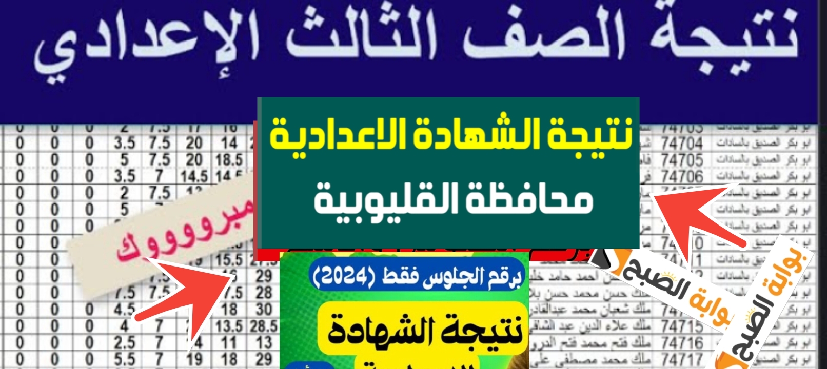 نتيجة الشهادة الاعدادية القليوبية