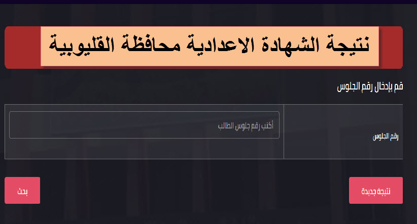 نتيجة اعدادية القليوبية 2024