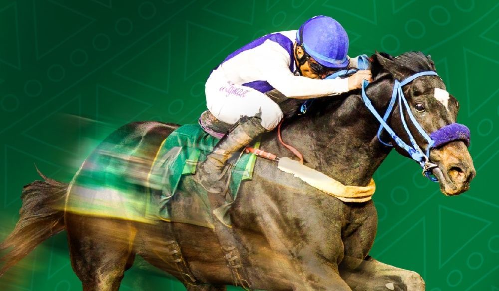 وزارة الثقافة تشارك في كأس السعودية 2024 بفعالياتٍ متنوعة