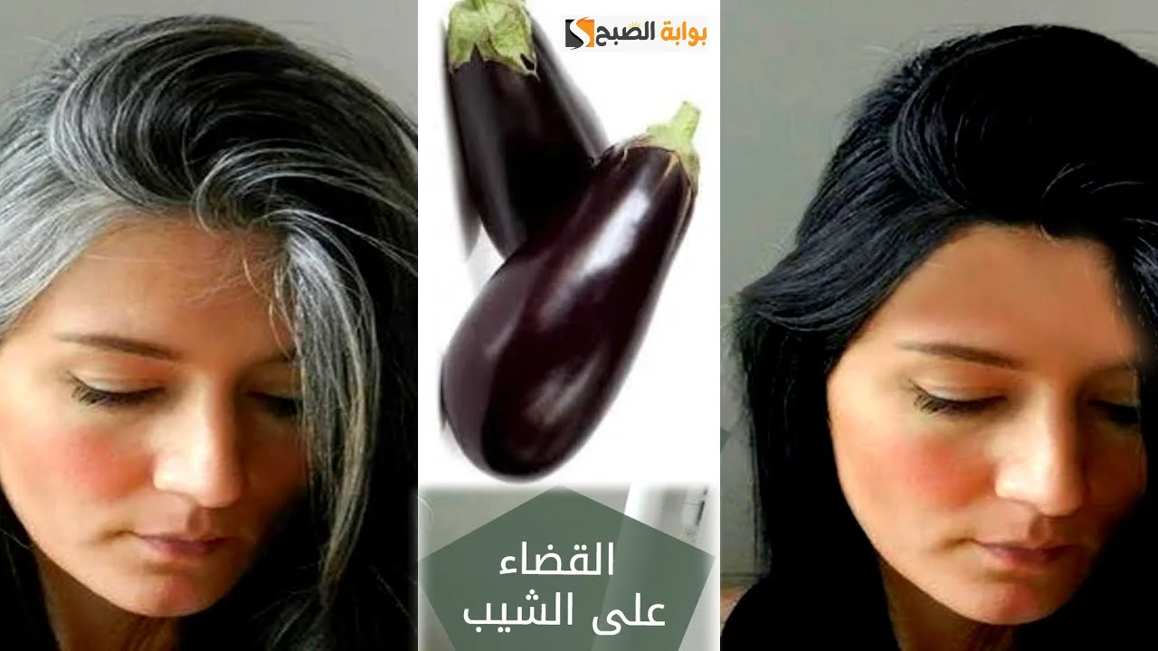 وصفة الباذنجان للتخلص من الشعر الأبيض
