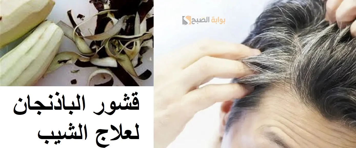 وصفة الباذنجان للتخلص من الشعر الأبيض