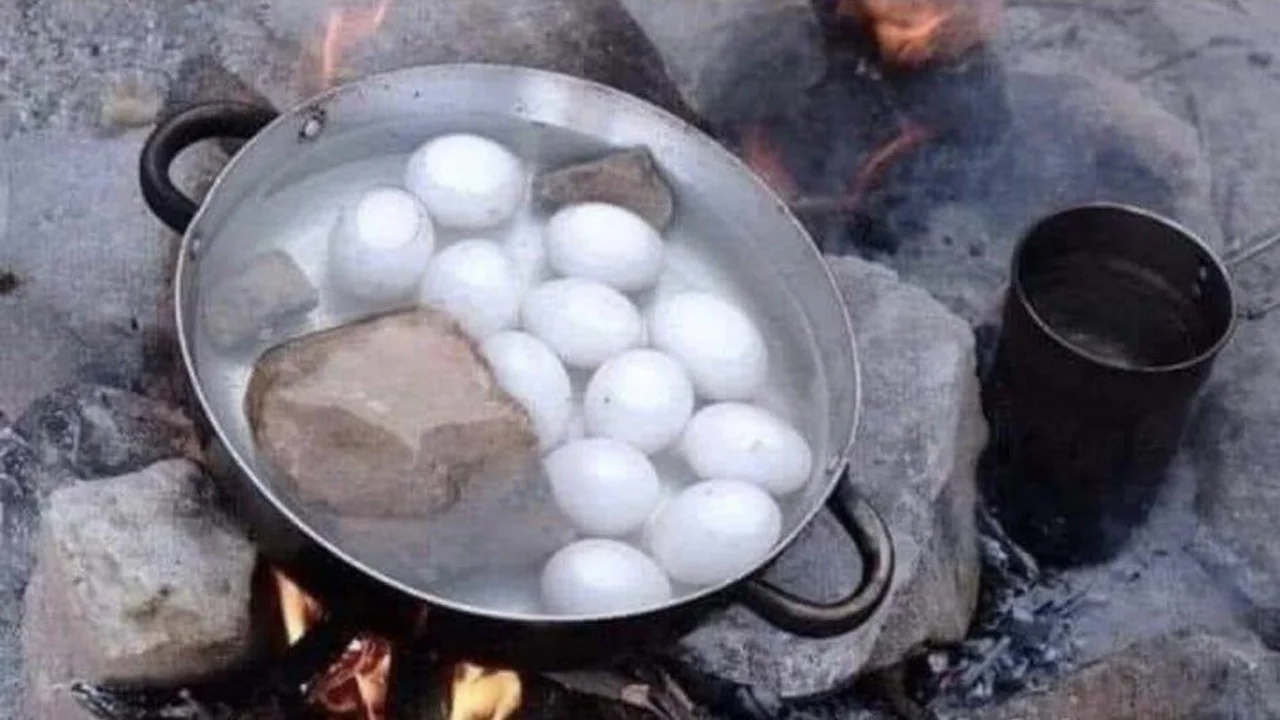 وضع الحجر مع البيض