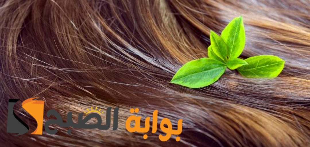 وصفات لتقوية الشعر الضعيف