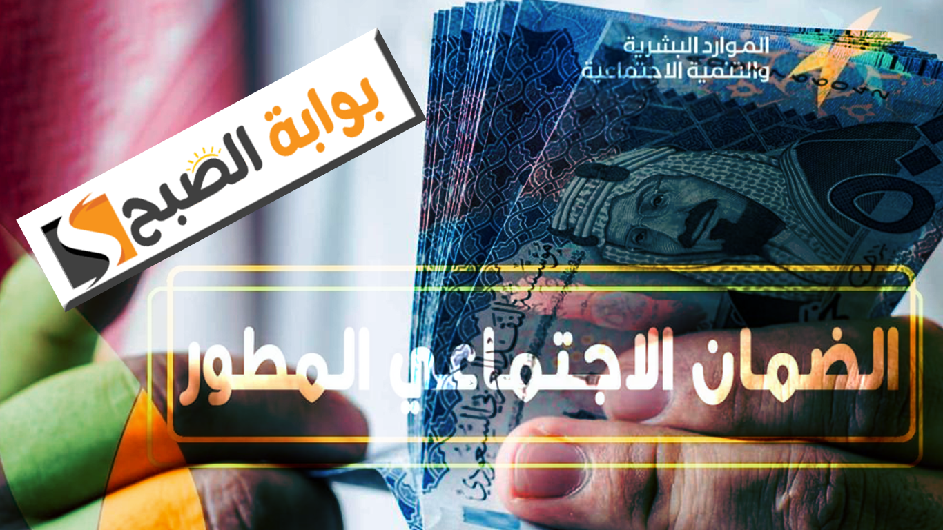 برنامج تمهير وأهلية الضمان المطور
