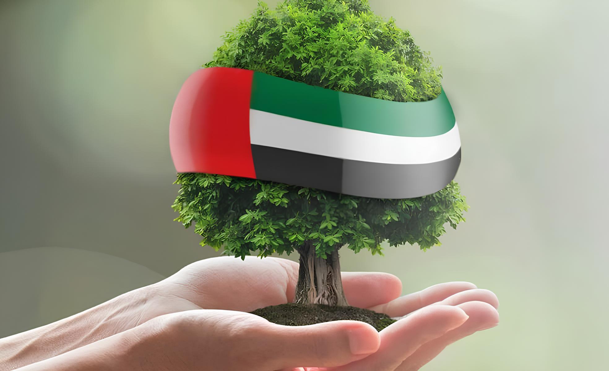مساعدة مالية في الإمارات