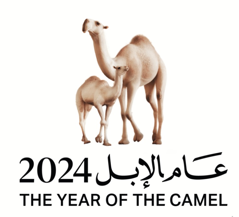 لماذا سمي 2024 بعام الابل؟ وما هي أهدافه وفقًا لوزارة الثقافة السعودية