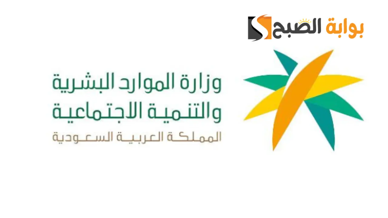 الاستعلام عن نطاق المؤسسة