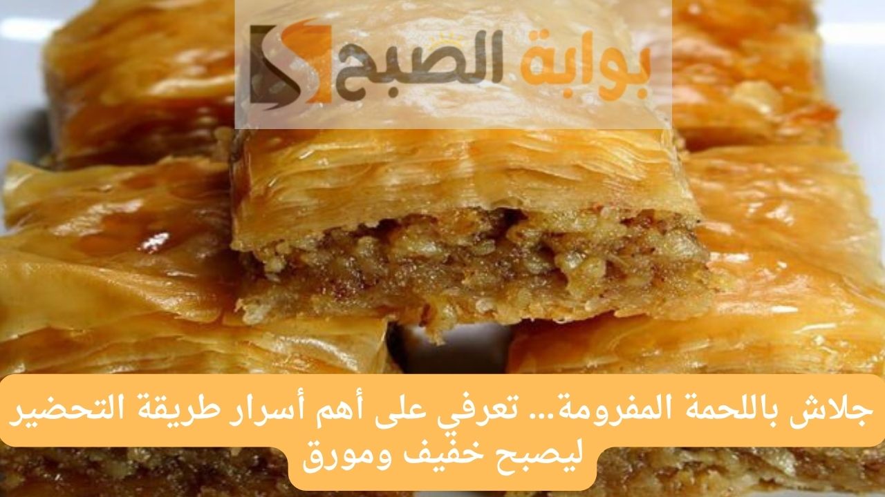 جلاش باللحمة المفرومة مورق وطري