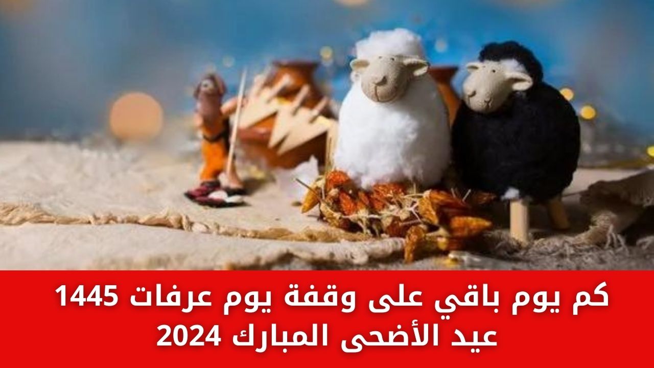 كم يوم باقي على وقفة يوم عرفات 1445 .. عيد الأضحى المبارك 2024