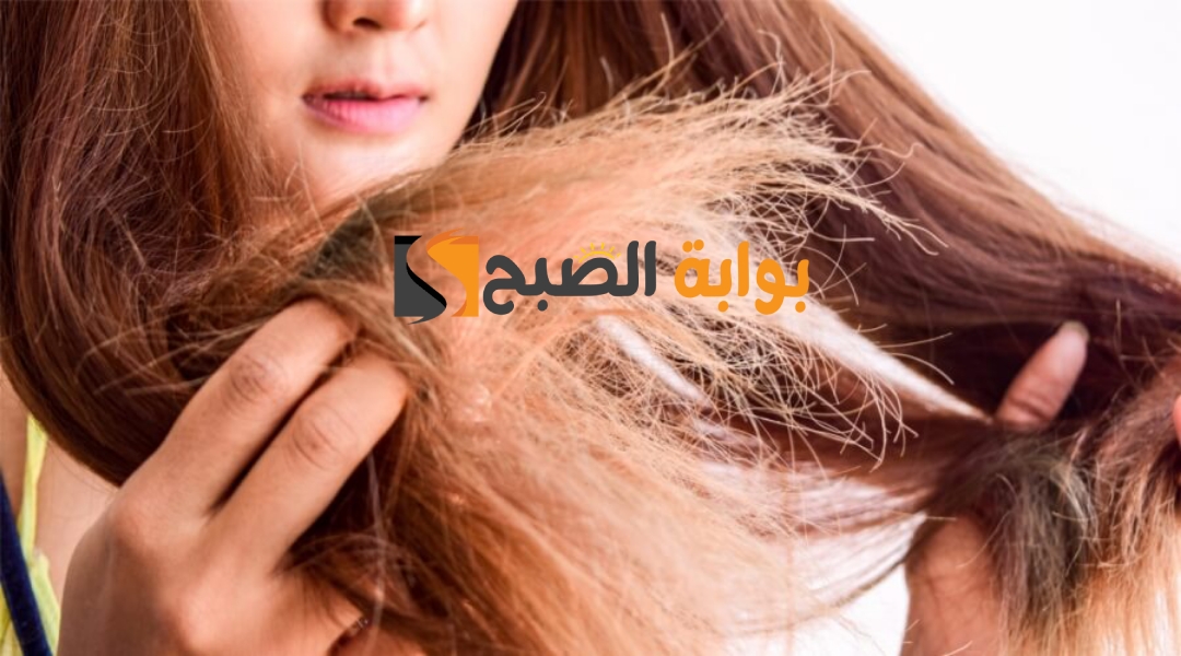 وصفة للشعر الجاف والمتقصف