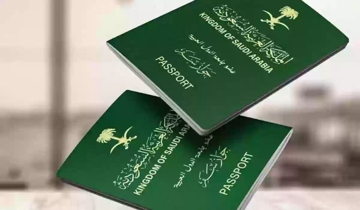 الحصول على التأشيرة الإلكترونية