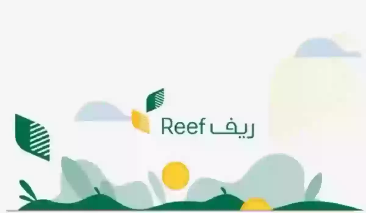 هل سيؤثر دعم ريف على برنامج الضمان المطور وما هي شروط الحصول علي الدعم الريفي؟