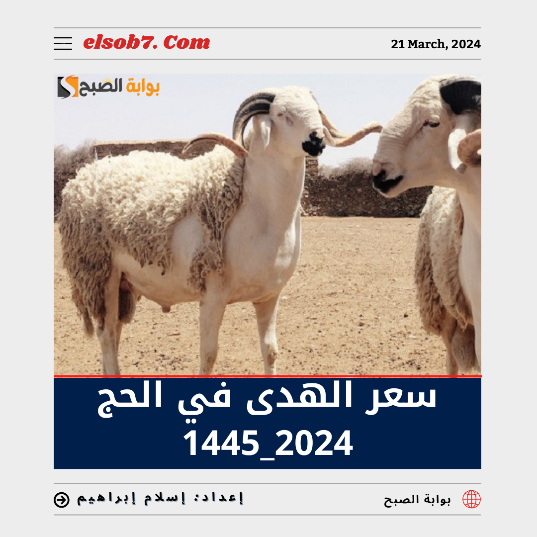 كم سعر الهدى في الحج 2024