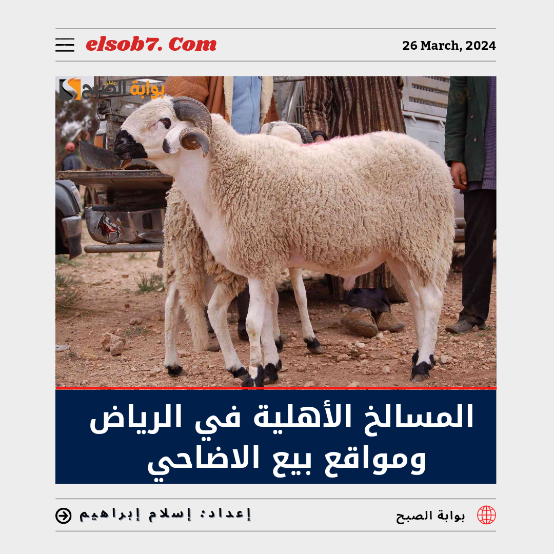 المسالخ الأهلية في الرياض