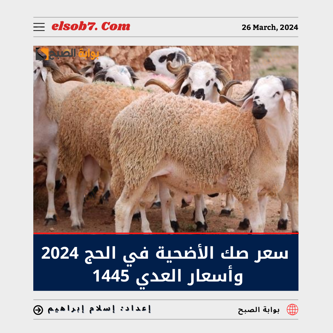 سعر صك الأضحية في الحج 2024