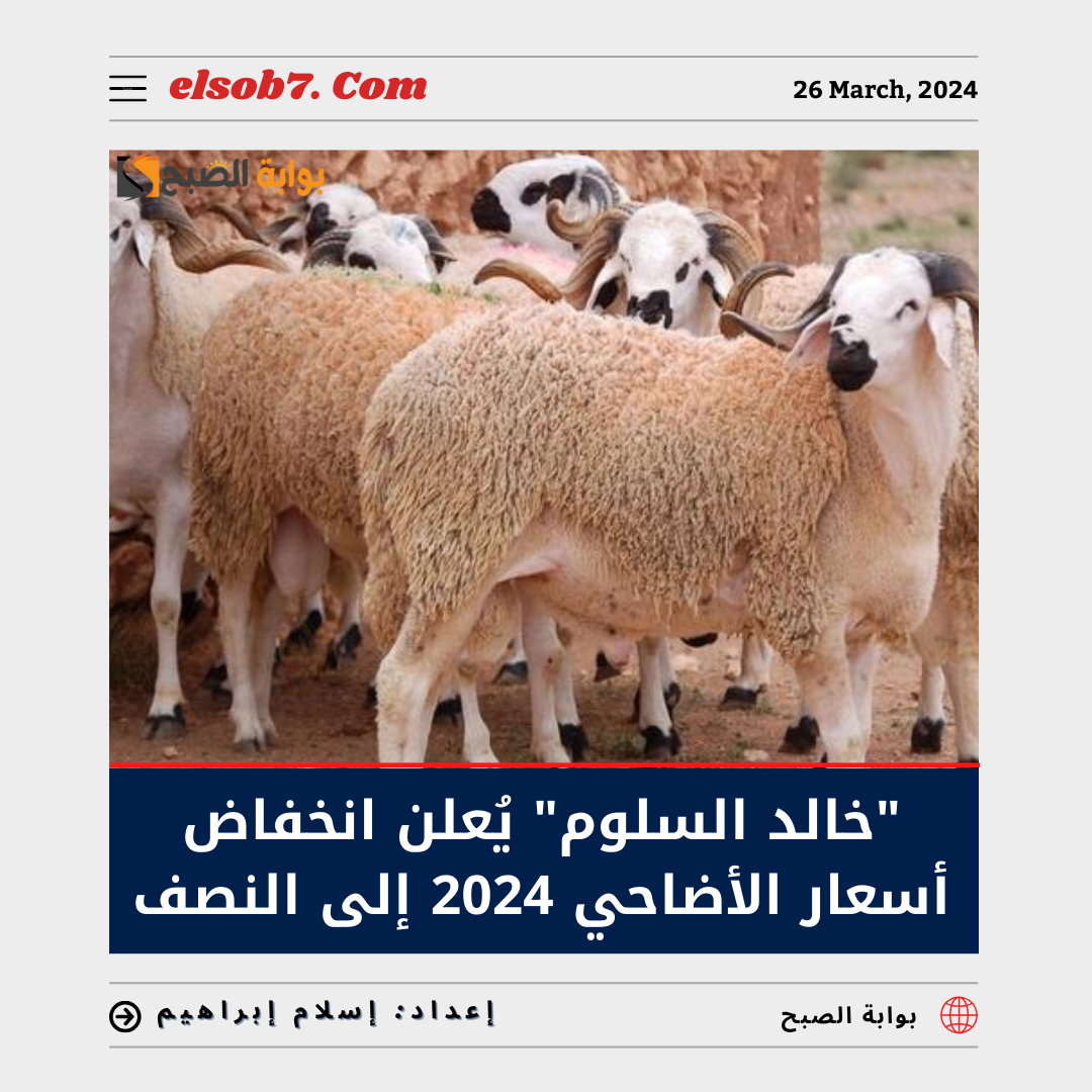 انخفاض أسعار الأضاحي 2024 إلى النصف