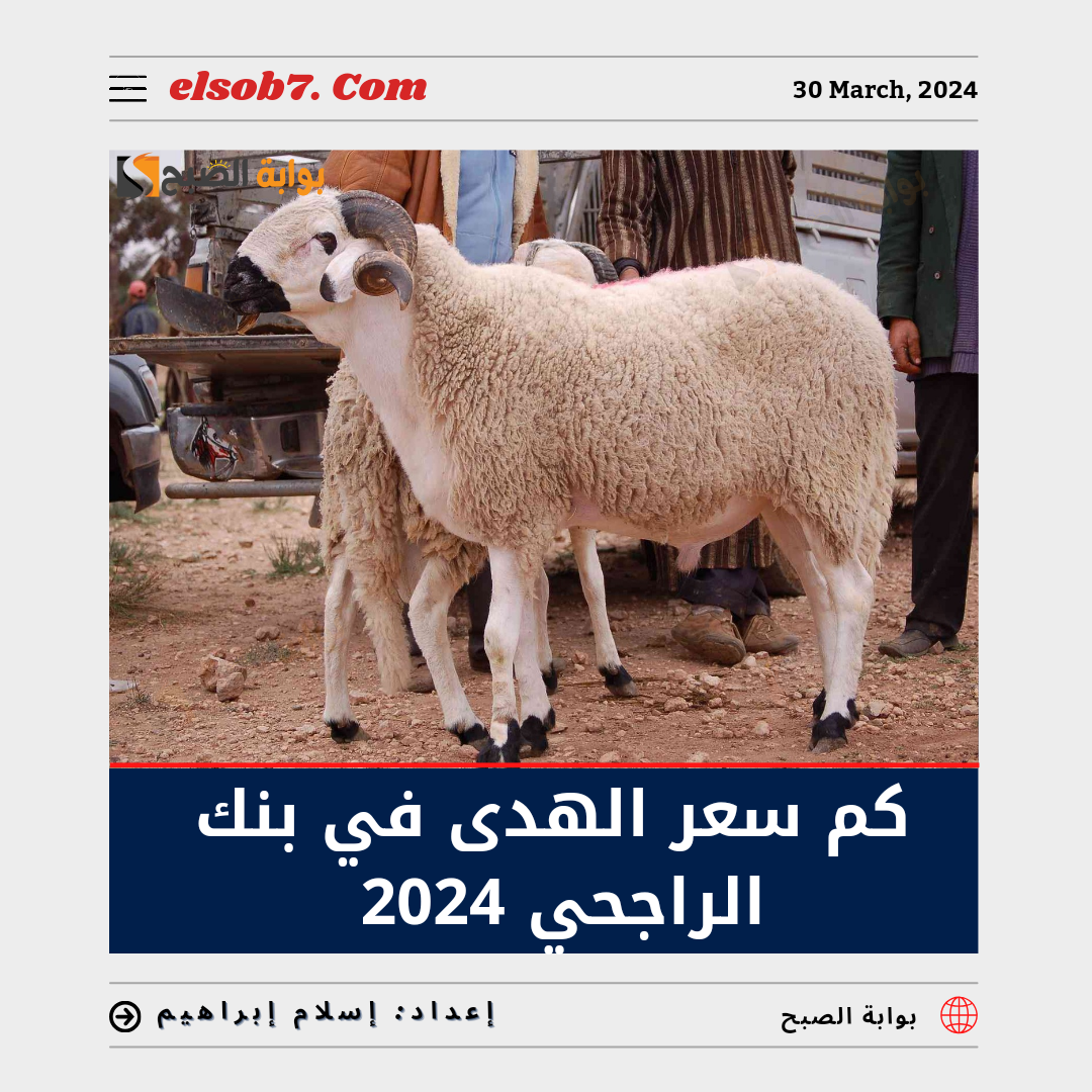 كم سعر الهدى في بنك الراجحي 2024