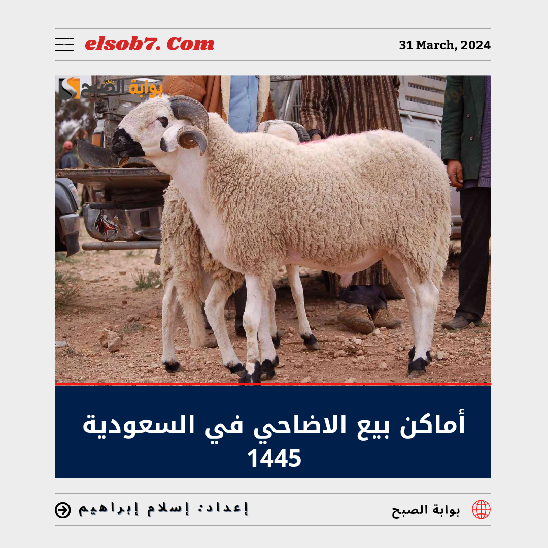 اماكن بيع الاضاحي في السعودية 1445
