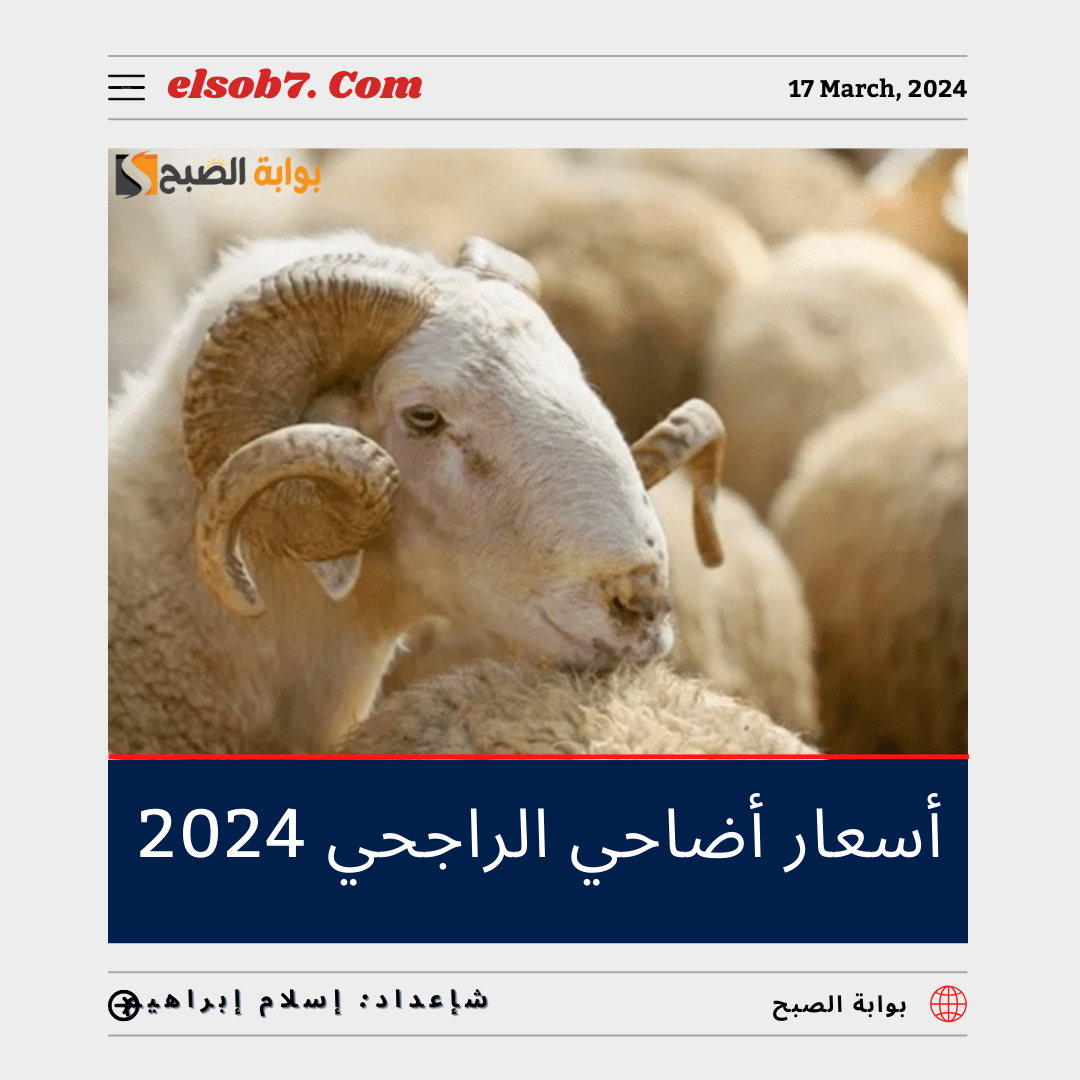 أسعار أضاحي الراجحي 2024