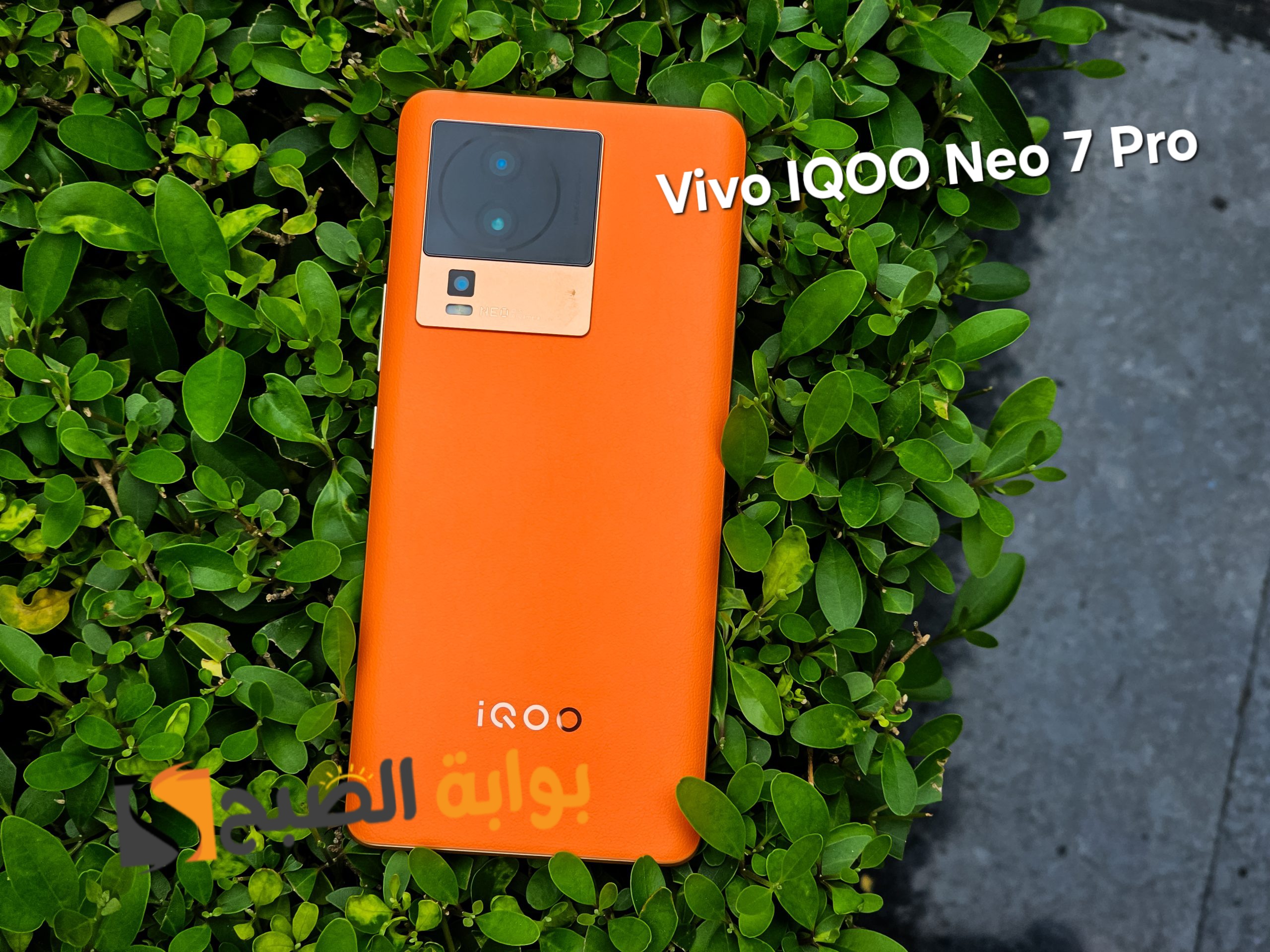 سعر ومواصفات ومميزات هاتف Vivo iQOO Neo 7 Pro