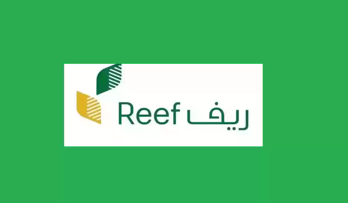 ما هي خطوات التسجيل في دعم ريف.. وأهم الشروط المطلوبة للحصول على الدعم الريفي